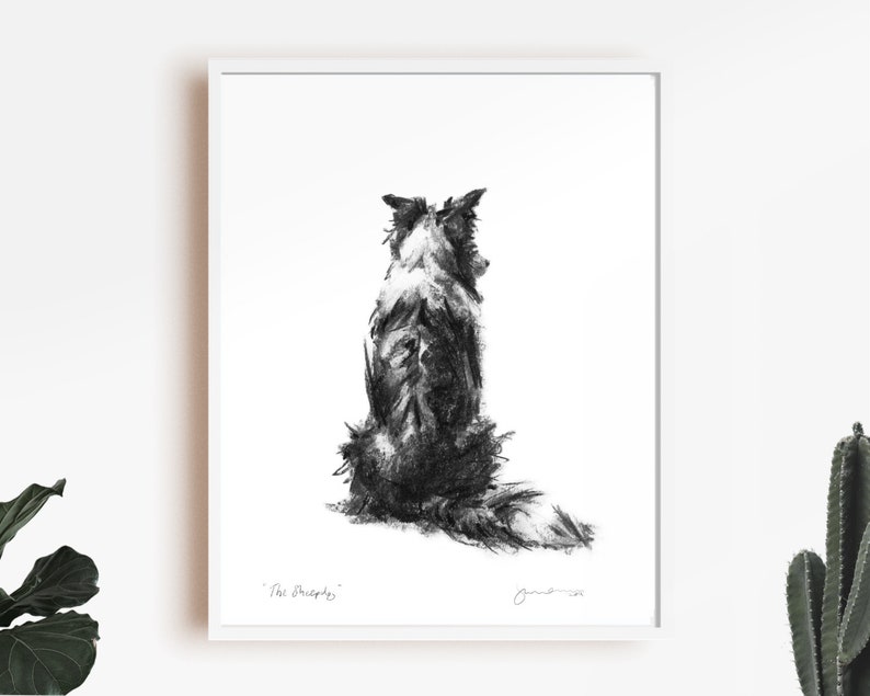 Op de afbeelding: Zwart-witte houtskooltekening van een Border Collie die met zijn rug naar de kijker zit. De hond kijkt naar rechts. De tekening is onderaan links gesigneerd met "The Shepards" en onderaan rechts met "June 2022".