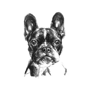 Imprimer dessin chien, Bouledogue Français cadeau de Bouledogue Français Frenchie dessin impression fine art chien, art de bouledogue français image 2