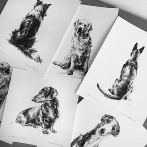 Bordercollie-kunstdruk, schets herdershond, cadeau hondenliefhebber afbeelding 3