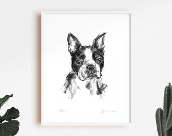 Dog drawing print, Boston terrier portrait - fine art dog print - boston terrier gift