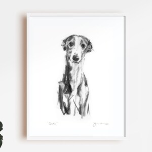 May include: Black and white charcoal drawing of a Greyhound dog, titled "Sparta" in the bottom left corner.