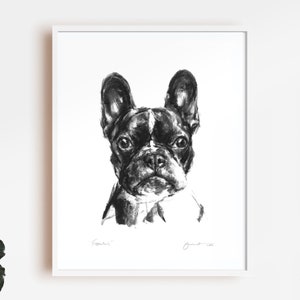 Imprimer dessin chien, Bouledogue Français cadeau de Bouledogue Français Frenchie dessin impression fine art chien, art de bouledogue français image 1