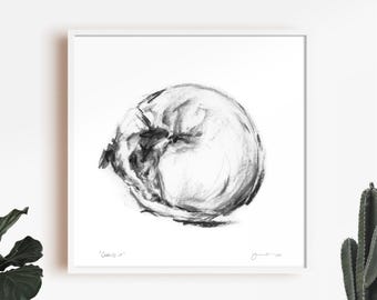 Jack Russell Terrier Art Print, Sleeping Dog Sketch, Dog Lover Gift