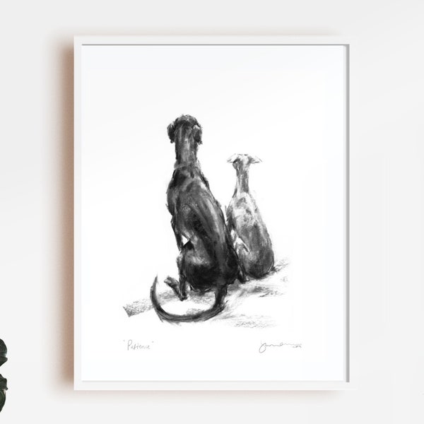 Dog drawing print, Patience - two lurchers - fine art dog print  - fine art dog print - lurcher gift - sighthound sketch print, long dog art