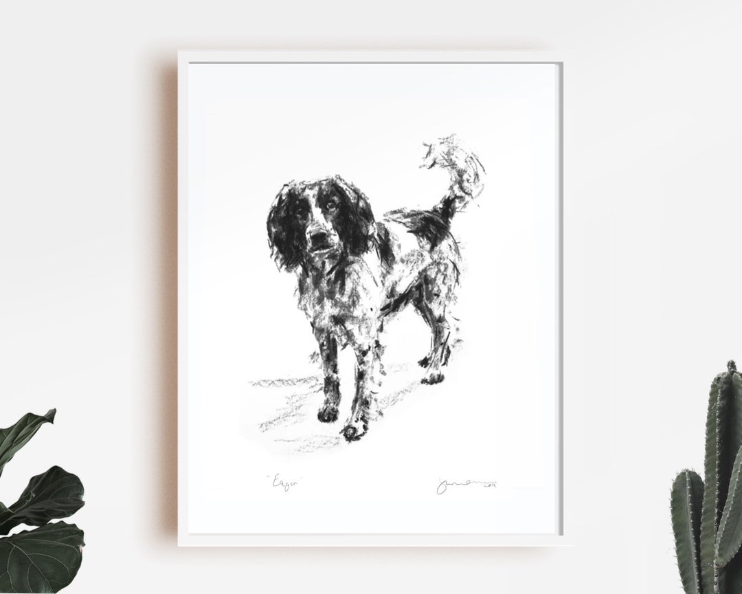 Springer Spaniel Print Springer Spaniel Print eager Springer Spaniel - Etsy