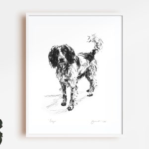 Springer Spaniel print, &quot;Eager&quot; Springer Spaniel portrait - fine art dog print - Springer gift, spaniel present, dog drawing, springer art