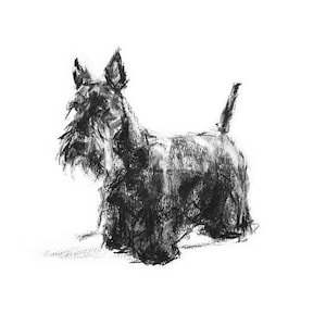 Dog Drawing Print, Scottie Dog Sketch Fine Art Dog Print Scottie Gift ...