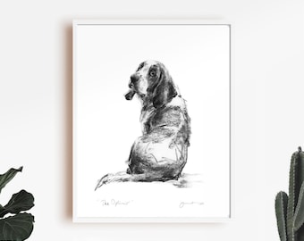 Basset Hound sitting Charcoal Art Print – Signed Dog Portrait