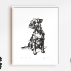 Dog drawing print, Border terrier dog art print - from a charcoal sketch - Border terrier gift