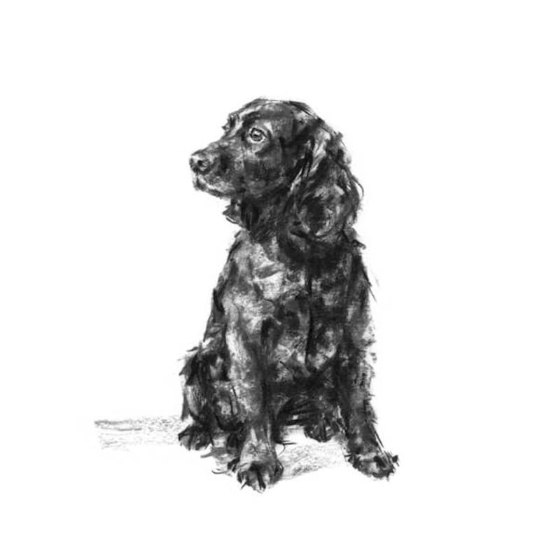 Dog Drawing Print Black Spaniel Sketch Fine Art Dog Print Etsy UK