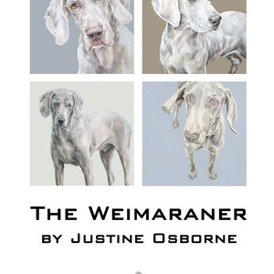 The Weimaraner - Fine Art dog print