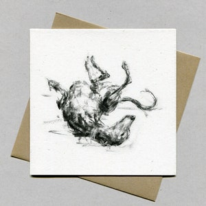 May include: A black and white pencil drawing of a dog on a white card. The dog is lying on its back with its legs in the air.
