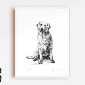 Golden retriever print, Golden Retriever Drawing  - fine art dog print - golden retriever gift,  dog sketch, retriever dog drawing, wall art