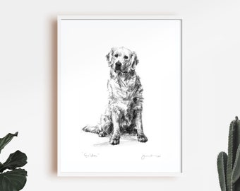 Golden retriever print, Golden Retriever Drawing  - fine art dog print - golden retriever gift,  dog sketch, retriever dog drawing, wall art