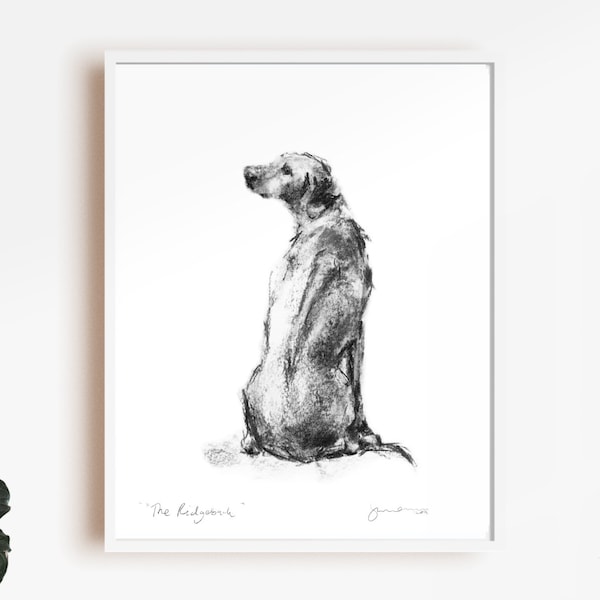 Rhodesian ridgeback  sketch - fine art dog print - ridgeback gift, ridgeback print, ridgeback wall art