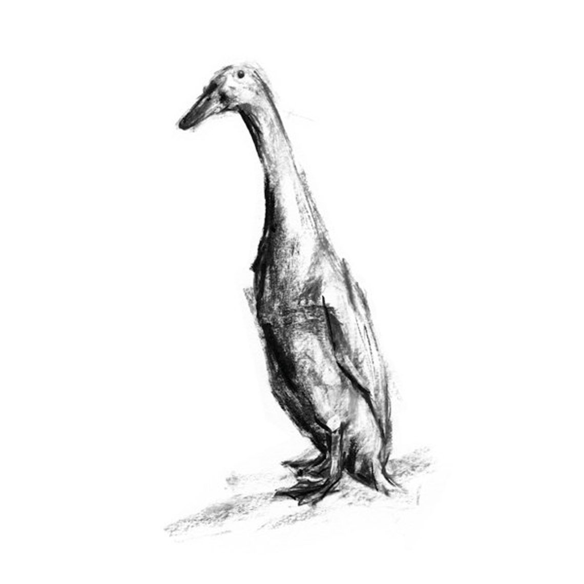 Duck Drawing Print Runner Duck Sketch Fine Art Print Duck Etsy