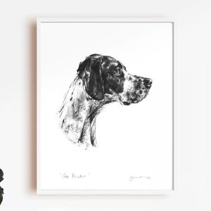 Op de afbeelding: Zwart-wit kunstafdruk van een Pointer hond in profiel. De tekening toont de kop en nek van de hond tegen een witte achtergrond. De afdruk is ingelijst, met de tekst "The Pointer" en een handtekening onderaan.