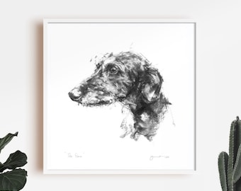 Scruffy Lurcher "The Glance"  - fine art dog print - lurcher sighthound gift - lurcher sketch print