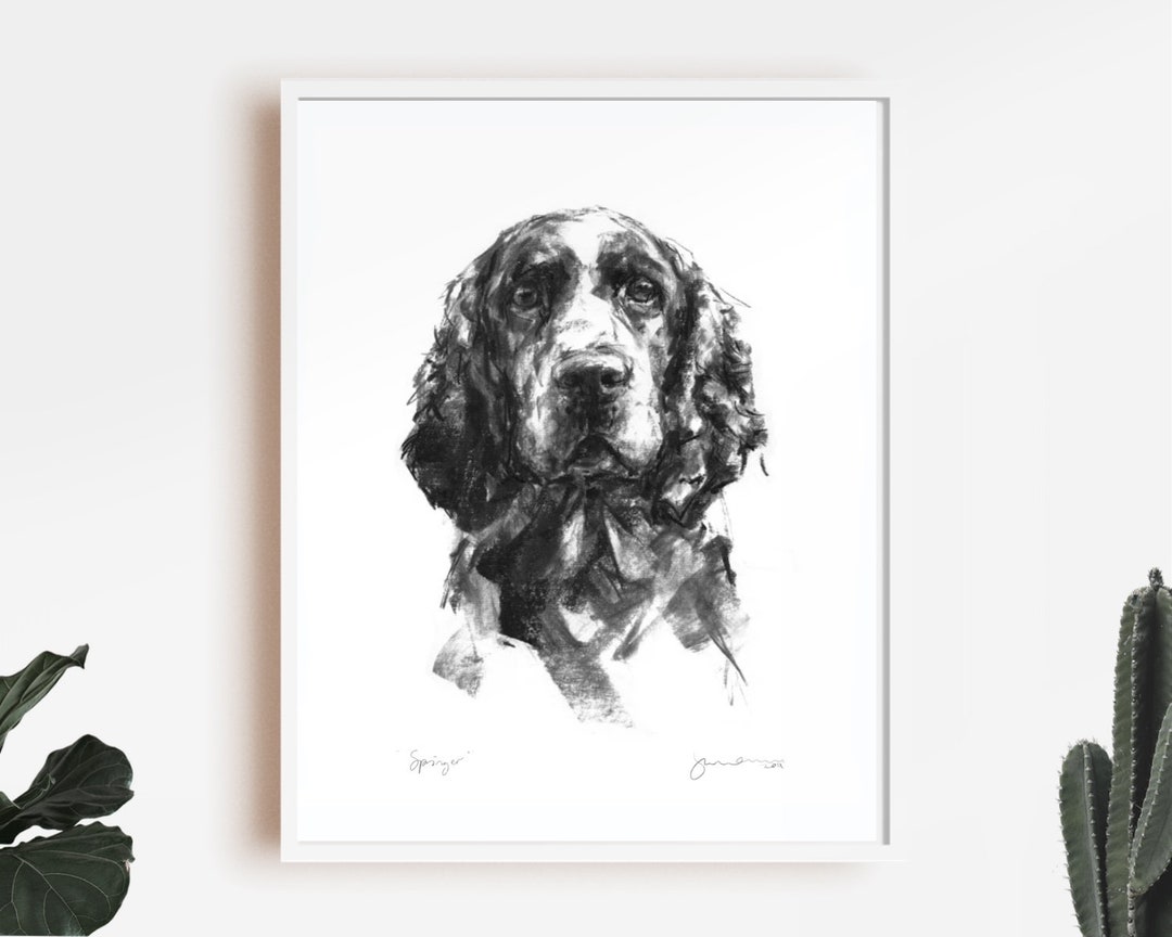 Dog Drawing Print, Springer Spaniel Portrait - Fine Art Dog Print ...