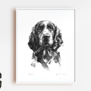 Dog drawing print, Springer Spaniel portrait - fine art dog print - Springer gift, springer spaniel art, springer owner gift, spaniel sketch