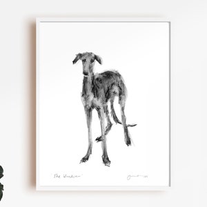 Spanish Greyhound Galgo drawing, Dog drawing print, fine art dog print, greyhound gift, greyhound lover, greyhound wall art, Galgo wall art
