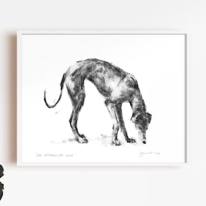 Greyhound  drawing, The Ineresting Sniff, Dog drawing print, fine art dog print, greyhound gift, greyhound lover, greyhound wall art