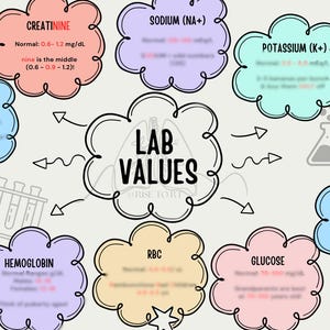 May include: A diagram showing lab values such as Creatinine, Sodium, Potassium, Chloride, BUN, Glucose, RBC, Hemoglobin, WBC, and Hematocrit. The text is in a cloud-like design with arrows and scientific illustrations.