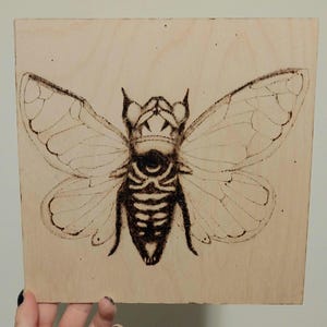 May include: A wood-burned art piece featuring a detailed insect design. The insect has large, veined wings and a segmented body. The artwork is created on a square, light-colored wooden surface, showcasing the intricate details of the insect.