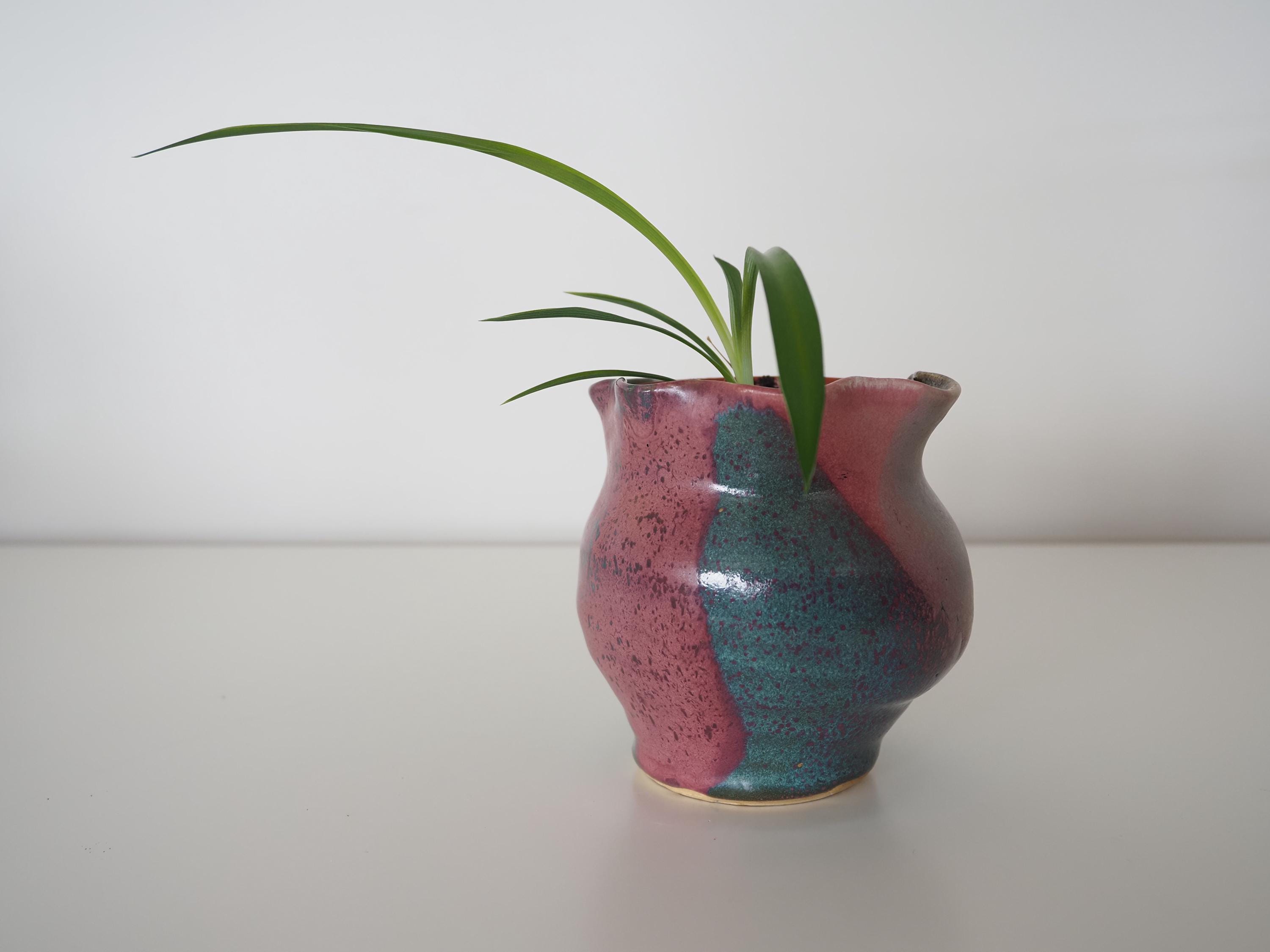 波型縁取り陶器製花器 中型 波型縁取り陶器製花器 中型 一珍ぶどう・花型取皿 | 松