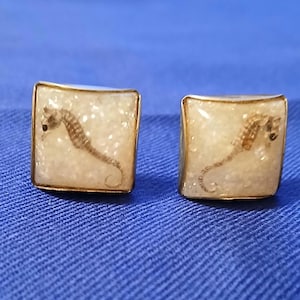 May include: A pair of square cufflinks with a gold-colored border. Each cufflink features a seahorse encased in a clear, textured resin. The seahorses are brown and tan, set against a white background.