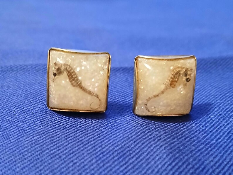 May include: A pair of square cufflinks with a gold-colored border. Each cufflink features a seahorse encased in a clear, textured resin. The seahorses are brown and tan, set against a white background.
