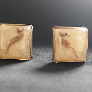 Vintage miniature real sea horse cuff links