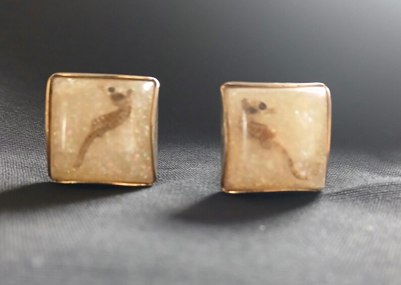 Vintage miniature real sea horse cuff links