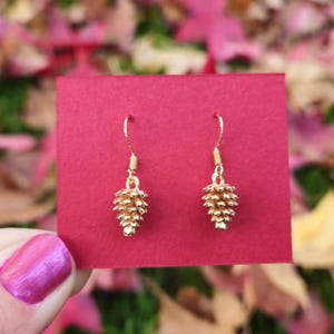 Pendientes de piña