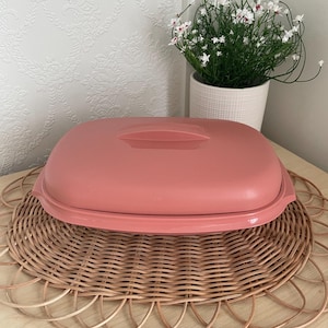 Peut inclure: Un récipient de stockage alimentaire rectangulaire rose poussiéreux avec un couvercle, posé sur un dessous de plat rond en osier tressé. Le récipient a une poignée sur le couvercle. Un pot de fleurs blanc avec des fleurs blanches est en arrière-plan.