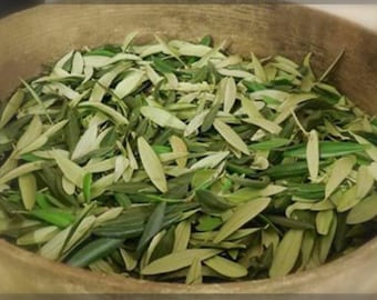 May include: A wooden bowl filled with fresh olive leaves. The leaves are various shades of green, with some lighter and some darker, creating a natural, textured appearance. The bowl is made of light-colored wood.