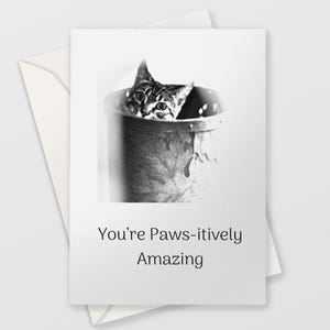 Carte d'anniversaire chat, carte d'anniversaire femme, miaou, carte d'anniversaire maman, carte d'anniversaire mari, carte d'anniversaire petit ami, carte d'anniversaire maman,