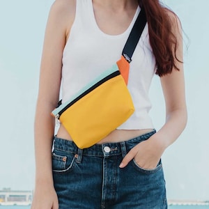 Fanny Pack Hip Bag - Durable Crossbody Belt Waist Bag - Colourful Bum Bag for Women, Men - Dog Walking Bag, Summer Festival Chest Bag Purse