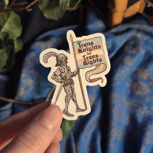 May include: A die-cut sticker featuring a medieval knight in silver armour with a blue and pink plumed helmet, holding a flag with the text Trans Knights for Trans Rights. The flag features horizontal stripes in light blue, pink, and white colours.