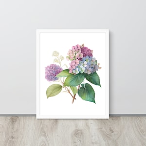 Hydrangea watercolor digital print, Hydrangea flower wall art, botanical print, watercolor print, wall décor floral print