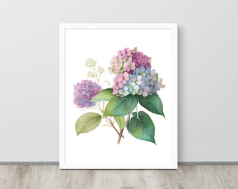 Hydrangea watercolor digital print, Hydrangea flower wall art, botanical print, watercolor print, wall décor floral print