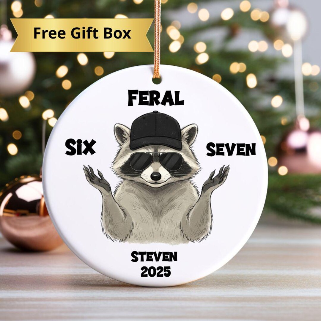 Personalized Six Seven Ornament, Custom 6 7 Funny Kids Keepsake ...