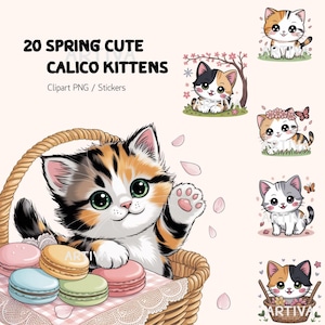 Op de afbeelding: Digitale illustratie van een calico kitten in een rieten mand met kleurrijke macarons. De afbeelding bevat de tekst "20 Spring Cute Calico Kittens Clipart PNG / Stickers" en verschillende andere kitten illustraties.