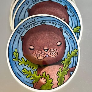 Little Sea Otter Sticker, A Fact About Sea Otters, Laptop, Water Bottle Decal