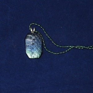 Pode incluir: Um colar de corrente de prata com um pingente verde escuro e azul. O pingente tem um design texturizado e escamoso.