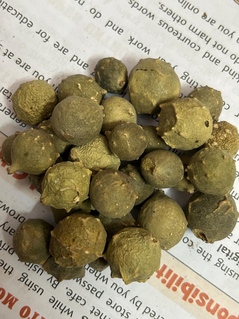 Puede incluir: Un conjunto de peque&ntilde;as c&aacute;psulas de semillas redondas de color verde oliva. Las c&aacute;psulas tienen una superficie texturizada y tama&ntilde;os variables, agrupadas. La imagen est&aacute; tomada desde arriba, mostrando las formas y colores naturales y org&aacute;nicos.