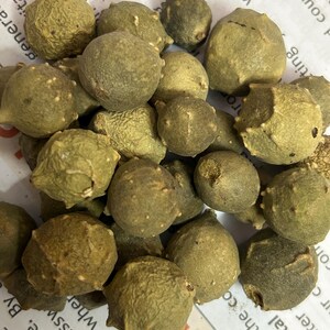 Puede incluir: Un mont&oacute;n de objetos redondos y texturizados de color verde oliva. Los objetos tienen una superficie irregular y formas irregulares. La imagen es un primer plano, que muestra los detalles. Est&aacute;n sobre una superficie blanca con texto impreso.