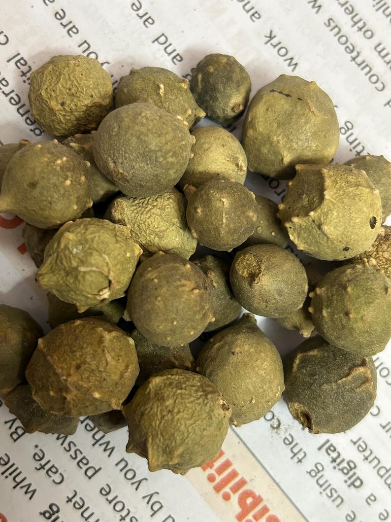 Puede incluir: Un mont&oacute;n de objetos redondos y texturizados de color verde oliva. Los objetos tienen una superficie irregular y formas irregulares. La imagen es un primer plano, que muestra los detalles. Est&aacute;n sobre una superficie blanca con texto impreso.