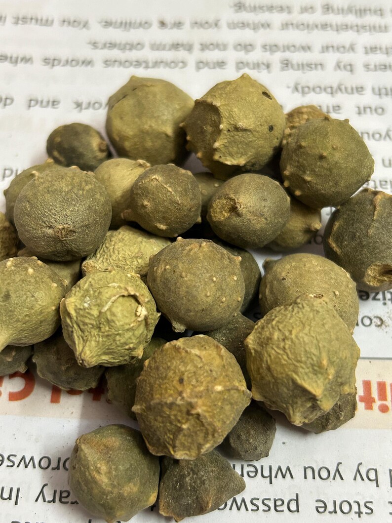 Puede incluir: Primer plano de un conjunto de peque&ntilde;os objetos redondos, de color verde oliva, con superficies texturizadas. Los objetos est&aacute;n agrupados, llenando el encuadre. La iluminaci&oacute;n resalta las texturas y formas variadas.