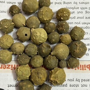 Puede incluir: Una colecci&oacute;n de objetos redondos y secos, de diferentes tama&ntilde;os y tonos de verde y marr&oacute;n. Los objetos tienen una superficie texturizada y con bultos. Est&aacute;n dispersos sobre una superficie impresa, posiblemente semillas o nueces.